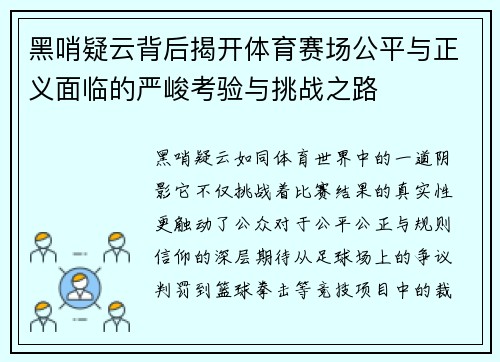黑哨疑云背后揭开体育赛场公平与正义面临的严峻考验与挑战之路